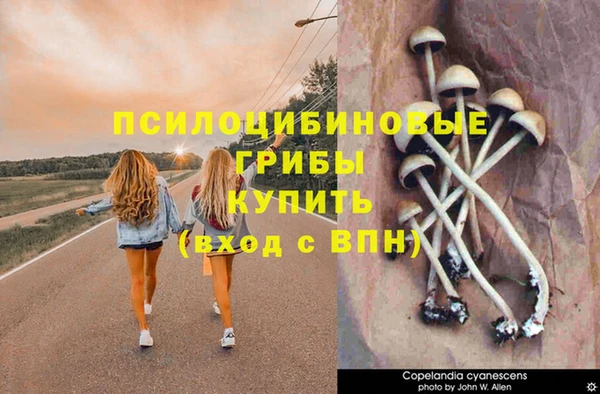 ГАЛЛЮЦИНОГЕННЫЕ ГРИБЫ Богородицк