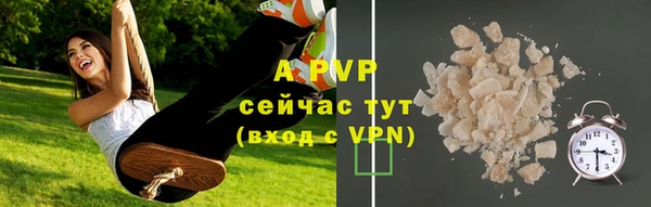 тгк Богданович