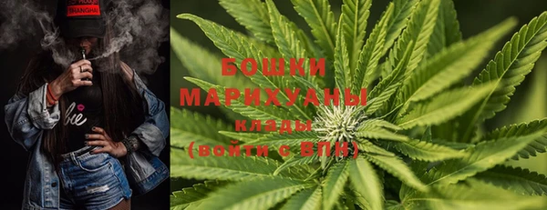 тгк Богданович
