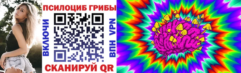 Галлюциногенные грибы Psilocybe  закладка  маркетплейс официальный сайт  Гусиноозёрск 