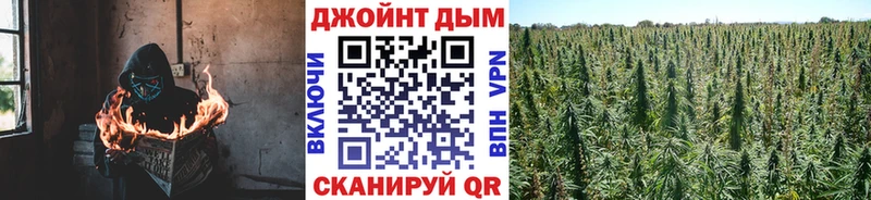 блэк спрут зеркало  Гусиноозёрск  Бошки Шишки план 